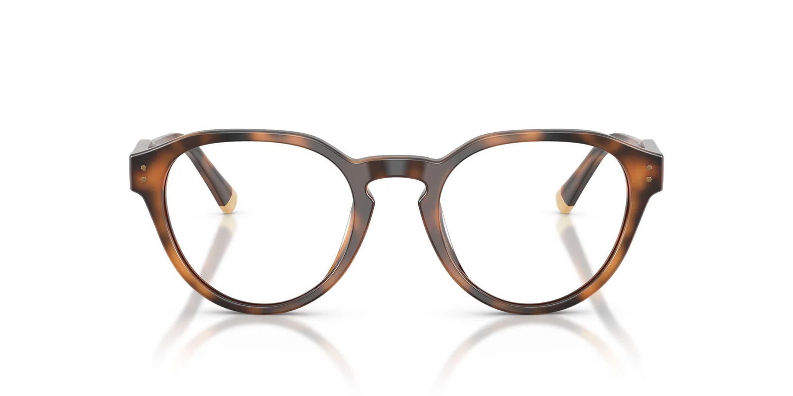 Polo 2304F Eyeglasses - view 19